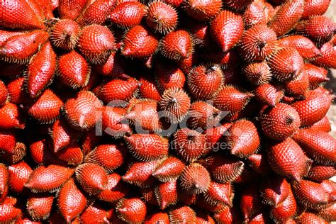 Sour Fruits of Thailand Stock Photos - FreeImages.com