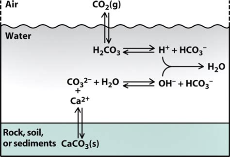 Carbonate and Bicarbonate in Water