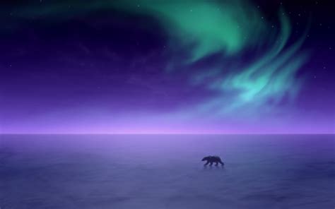 🔥 Free Download Aurora Borealis Alaska Snow Landscapes Polar Bears ...