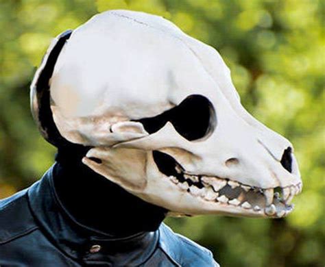 ericstrother I’ve always wanted this. | Canine skull, Skull mask, Animal masks