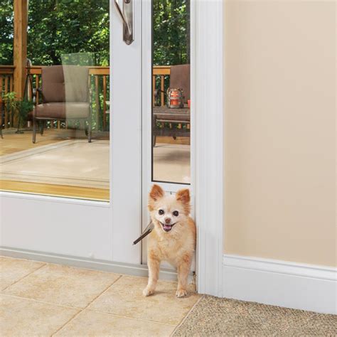 Doors with doggie doors lowes - Builders Villa