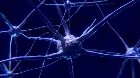 Exploring the surprising role of motor system neurons