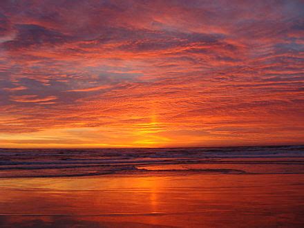 Salinas River State Beach - Wikipedia