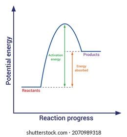 Endothermic Reaction Graph Chemistry Stock Vector (Royalty Free) 2072458157 | Shutterstock