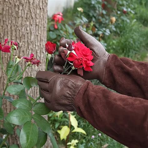 A Pair Gardening Gloves Rose Pruning Gloves Men Women Rose - Temu