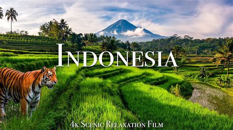 Indonesia 4K - Scenic Relaxation Film With Calming Music - YouTube