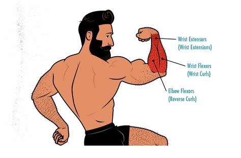 Forearm Workouts: How to Build Bigger Forearms – Outlift