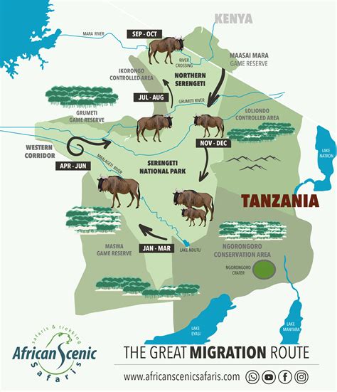 Wildebeest Migration Map