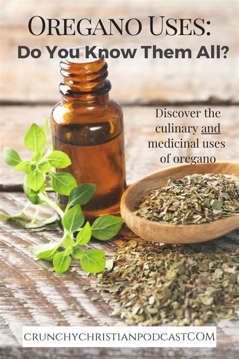 Oregano Uses: Do You Know Them All? - ThriveCast