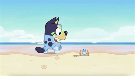 13 Best Episodes That Show Why I'd Die for Bluey