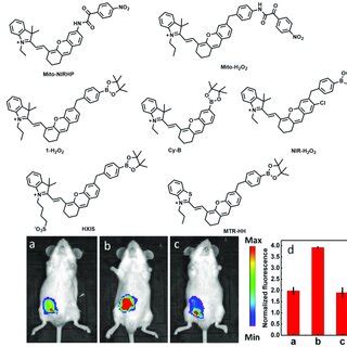 Chemical structures of fluorescent probes (A) for H 2 O 2 . (B ...