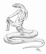 Garter Snake Drawing At GetDrawings  Free Download sketch template