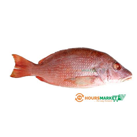 RED SNAPPER FISH – 1piece [FRESH] – 24 Hours Market | Lagos, Nigeria