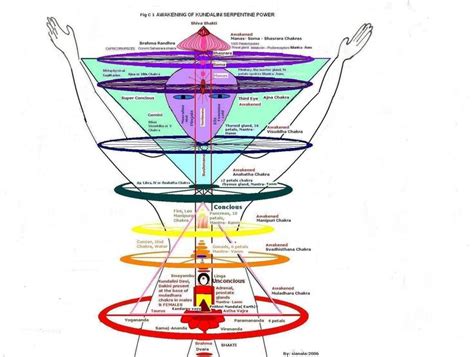 1151 best images about Subtle Body Anatomy on Pinterest