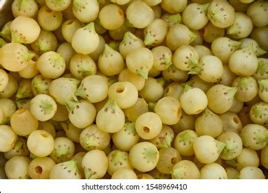 Madhuca Longifolia Flower Known Mahuwa India Stock Photo 1548969410 | Shutterstock