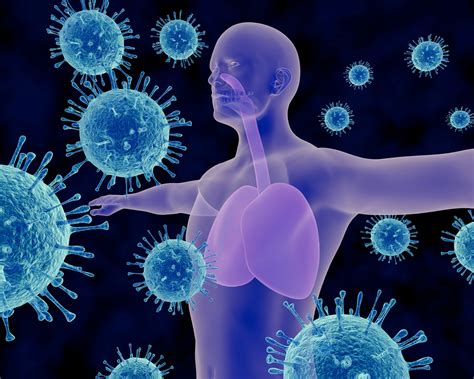 Does CBD Help Improve the Immune System?– Cannacares