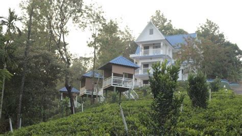 Hotels in Munnar - Munnar Kerala, Munnar hotels, Munnar resorts, Munnar vacation, Munnar tea ...