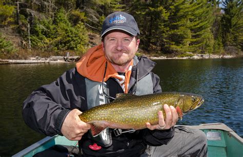 Top 5 Brook Trout Lures | Fish'n Canada