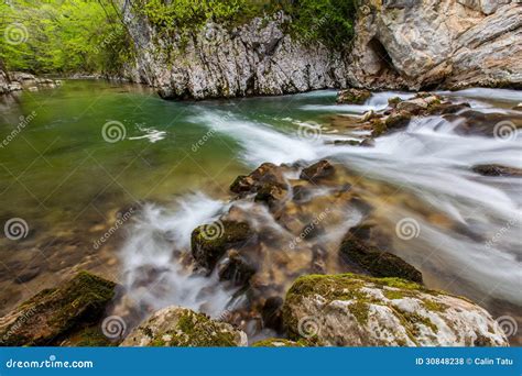 Mountain Stream and Waterfalls in the Forest in Spring Stock Photo ...