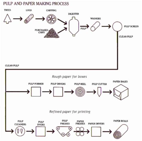 Process of Making Pulp and Paper - IELTS Writing Task 1 Diagram | IELTSMaterial.com