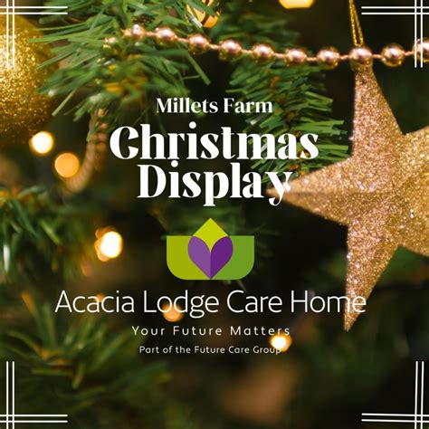 Millets Farm Christmas 2024 Dates - Alida Barbara