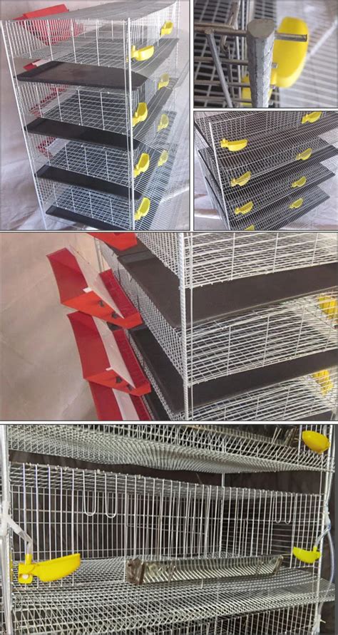 Poultry Farming Quail Brooder Cage Quail Cages For Egg Production Quail Cages For Sale - Buy ...