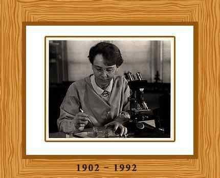 BARBARA MCCLINTOCK: American scientist and cytogeneticist who received ...