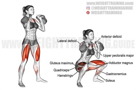 Double kettlebell front squat exercise instructions and video