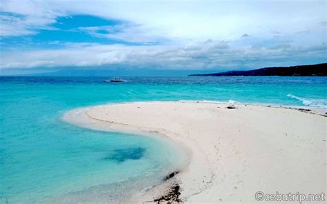 Sumilon Island x Bluewater Sumilon Island Resort :: CebuTrip