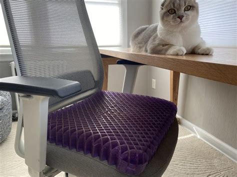 Purple Royal Seat Cushion Review: Comfortable Seat Cushion for Work