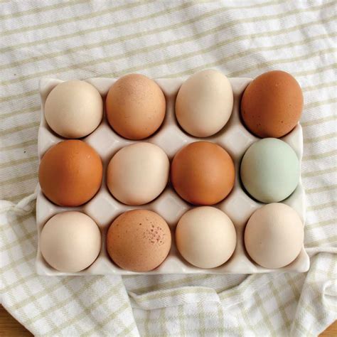 Stylish Ceramic Egg Holder – FARMcurious