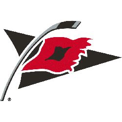 Carolina Hurricanes Alternate Logo | SPORTS LOGO HISTORY