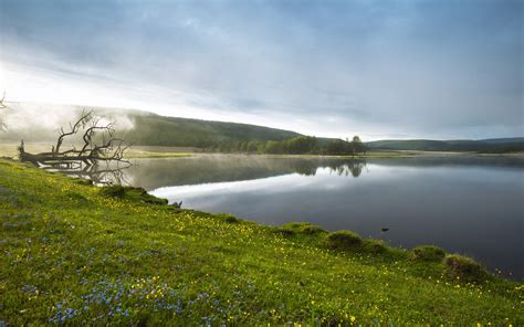 Free photo: Lake Side - Flow, Green, Lake - Free Download - Jooinn