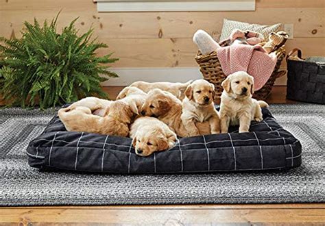 Orvis Dog Beds | The 8 Best Beds for Ultimate Comfort and Durability