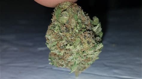 STRAIN REVIEW: BLUEBERRY - YouTube