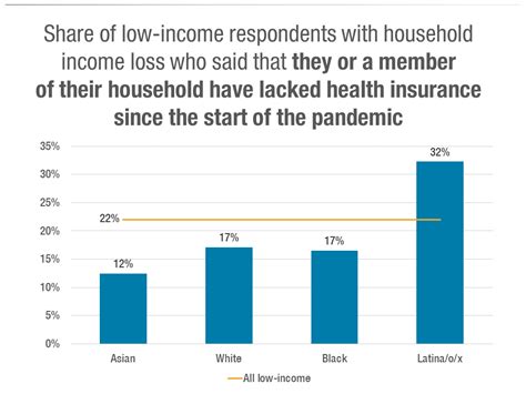 Health Inequity Persists in New York City: Impact of COVID-19 on Low-Income New Yorkers’ Access ...