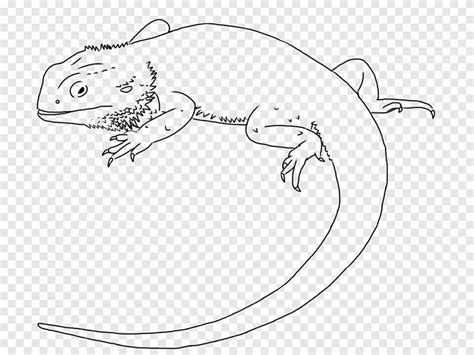 Lizard Drawing Central Bearded Dragon Line art, lizard, white, animals ...