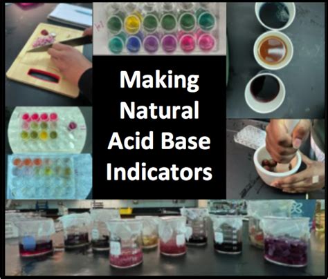 Making Natural Acid Base Indicators | Chemical Education Xchange