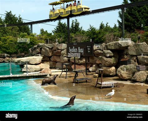 Chessington zoo hi-res stock photography and images - Alamy