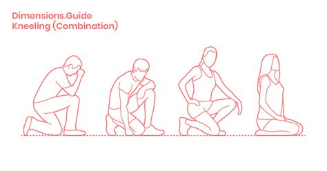 People Kneeling - Combination Dimensions & Drawings | Dimensions.Guide