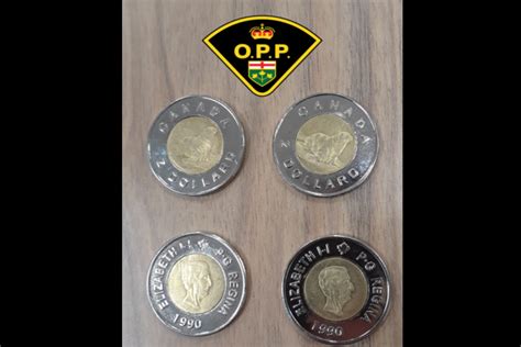 Police investigating counterfeit toonies found at Hawkesbury store - CityNews Ottawa