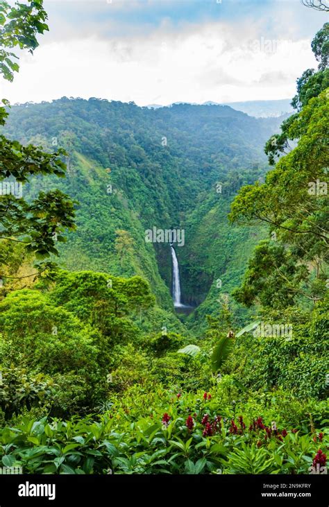 waterfalls in the Costa Rican rainforest Stock Photo - Alamy