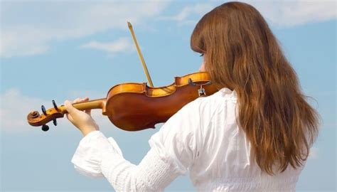 15 Best Violin Brands & 30 Best Beginner Violin Reviews [2018 Guide]