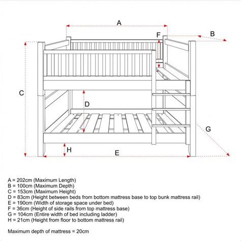 simple bunk bed plans | New England Natural Beech Bunk Bed - for ...