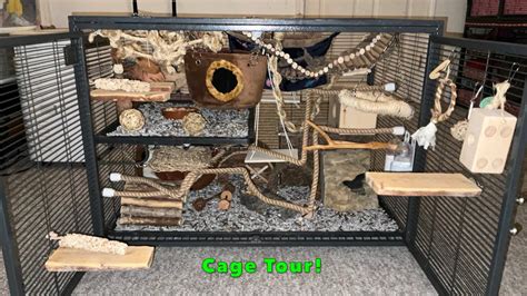 Naturalistic Single Critter Nation Rat Cage Tour! - YouTube