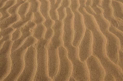 Free photo: Desert sand texture - Abstract, Ripples, Wavy - Free Download - Jooinn