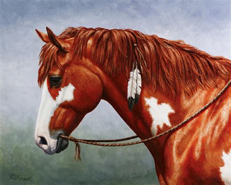 Native American Pinto Horse Painting by Crista Forest