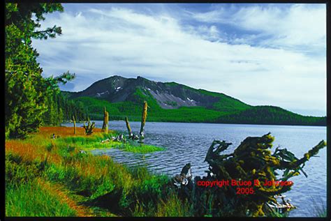 Paulina Lake shores