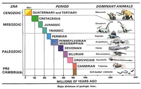 Major Divisions of Geologic Time (graph) | Geologic time scale ...