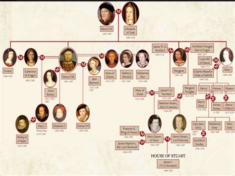 Queen Elizabeth 1 Family Tree | Queen elizabeth family tree, Henry viii ...